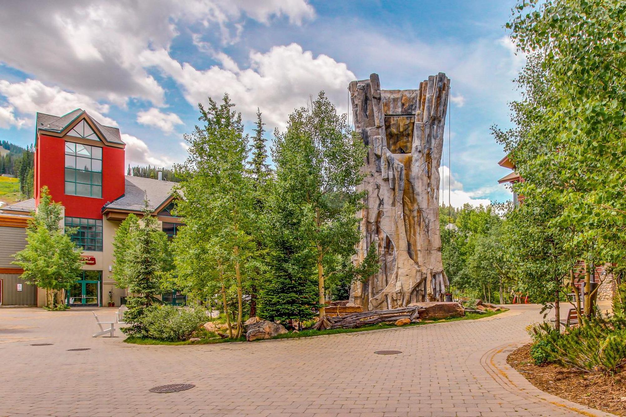 Copper Mountain Daire Frisco Oda fotoğraf